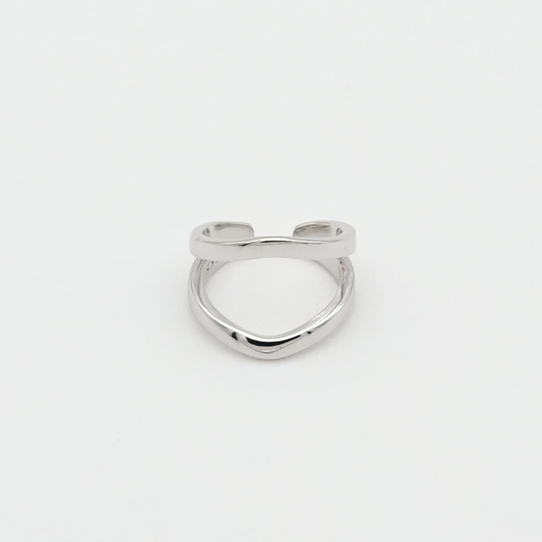double line earrings