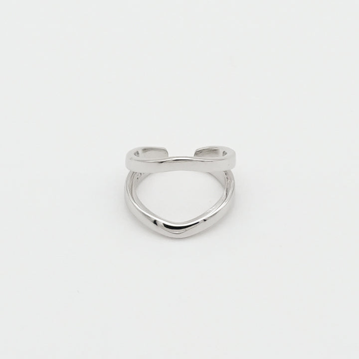double line earrings